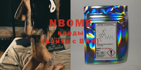 прущие грибы Сатка