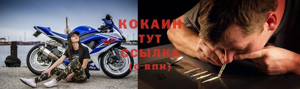 прущие грибы Сатка
