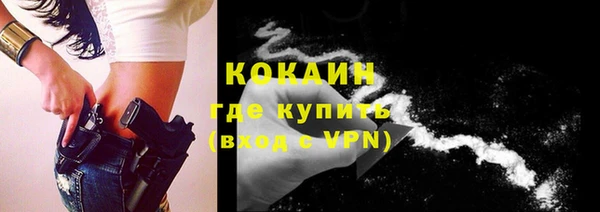 твердый Абаза
