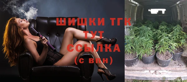 прущие грибы Сатка