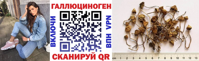 Псилоцибиновые грибы GOLDEN TEACHER  Белый 
